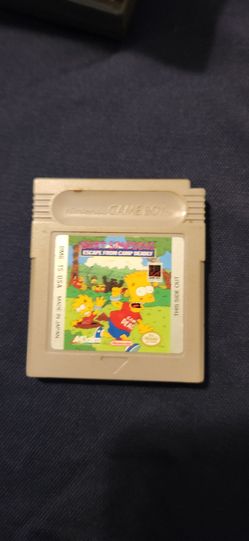 Bart Simpsons escape from Camp Deadly