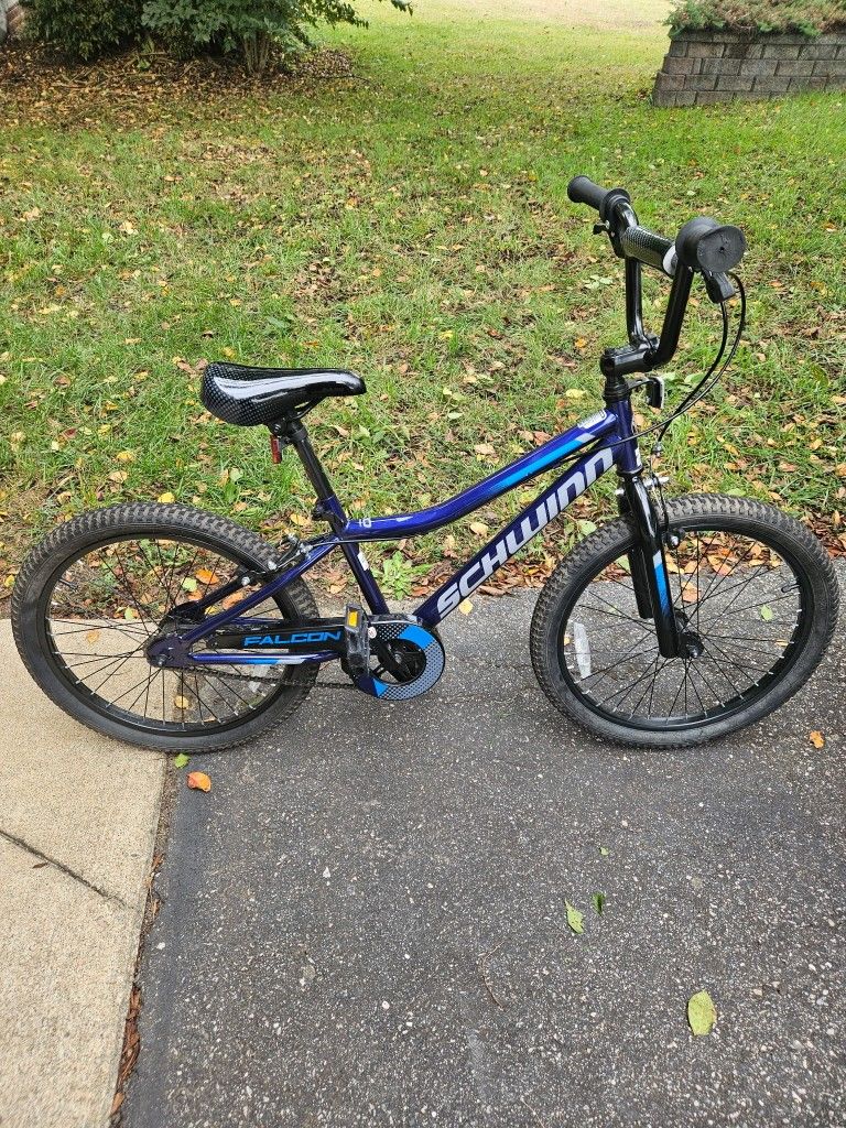 Schwinn Falcon 20" Kids' Bike - Blue