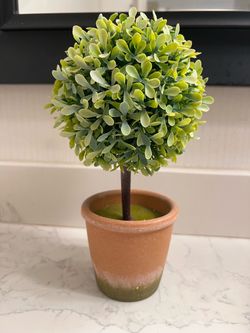 Small Faux Plant