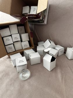 32. MR16 12V 50W light bulbs