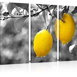 New 3 Piece Kitchen Canvas Wall Art Black and White Yellow Lemon Picture Painting Fruit Poster for Dining Room Pantry Coffee Bar Wall Decor Stretched 