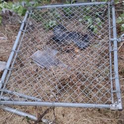 -5 Ft. Tall×45inches Wide Single Gate