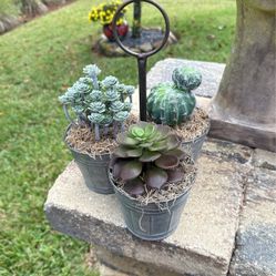 Artificial Succulents In A Multi Purpose Aluminum Caddy