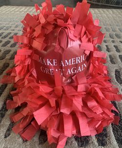 MAGA Piñata