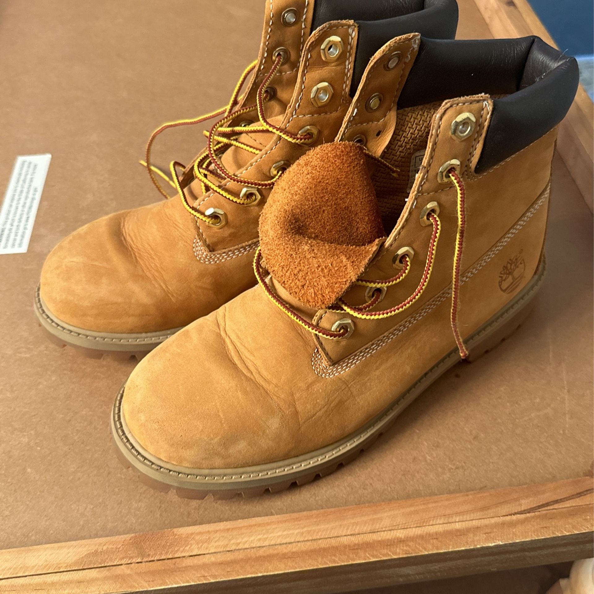 Timberland Boots YOUTH 5