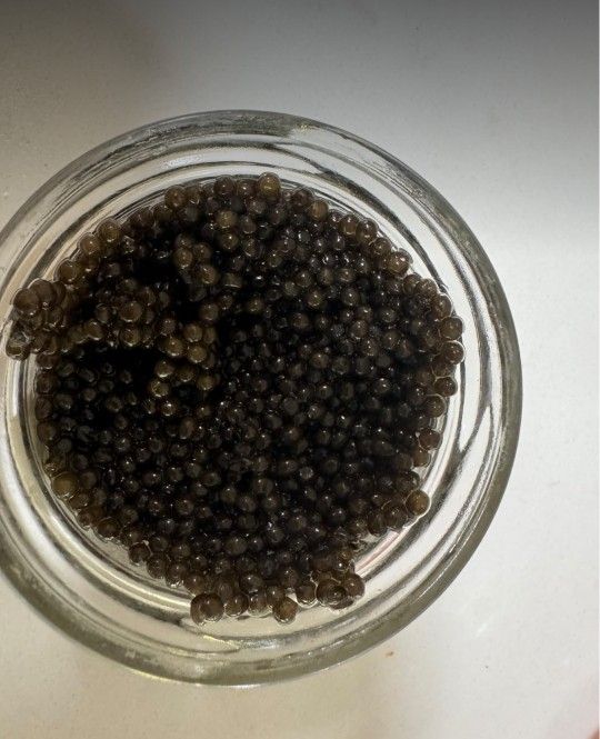 Fresh Sturgeon Caviar