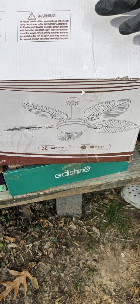 Ceiling Fan