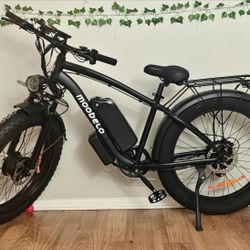 Electric Bike 