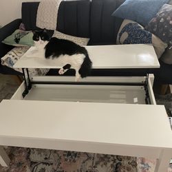 Coffee Table With Lifting Lid