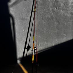 Saltwater Fishing Rod With Garcia Mitchell 302 Saltwater Spinning Reel