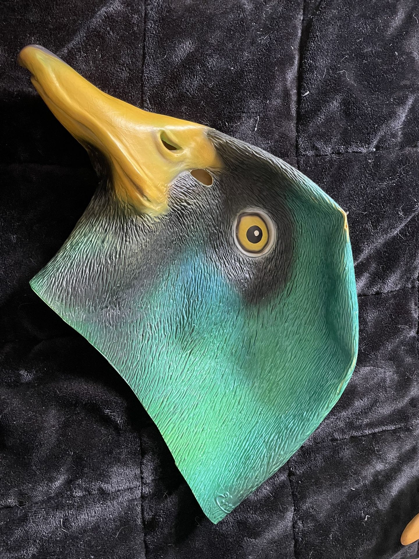 Bird Halloween Masks
