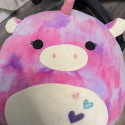 Big Squishmallow