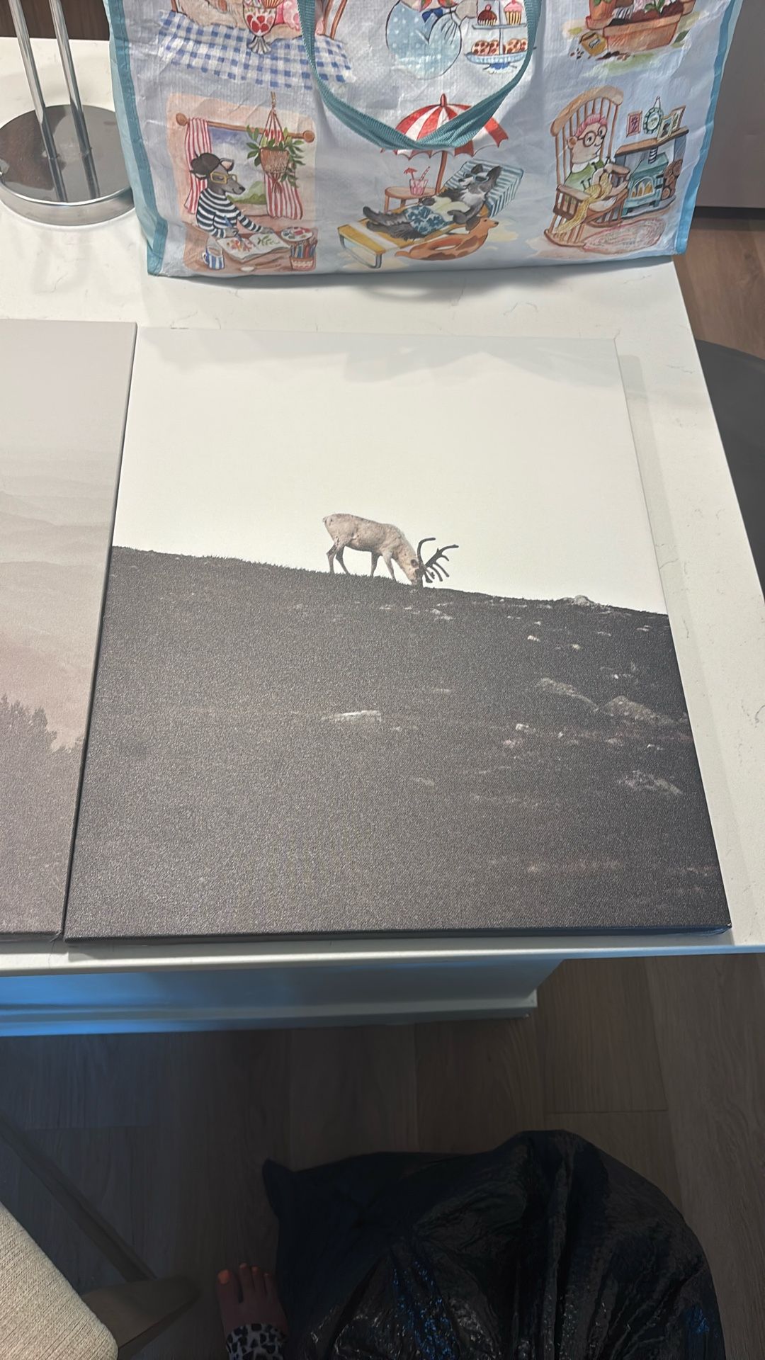 set of 2 ikea canvas