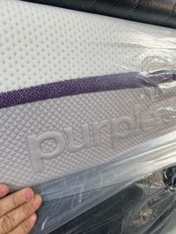 Purples King And Queens