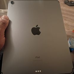 Apple iPad