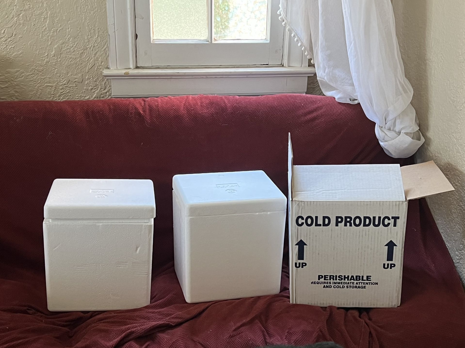Free 6 styrofoam coolers with ice packs