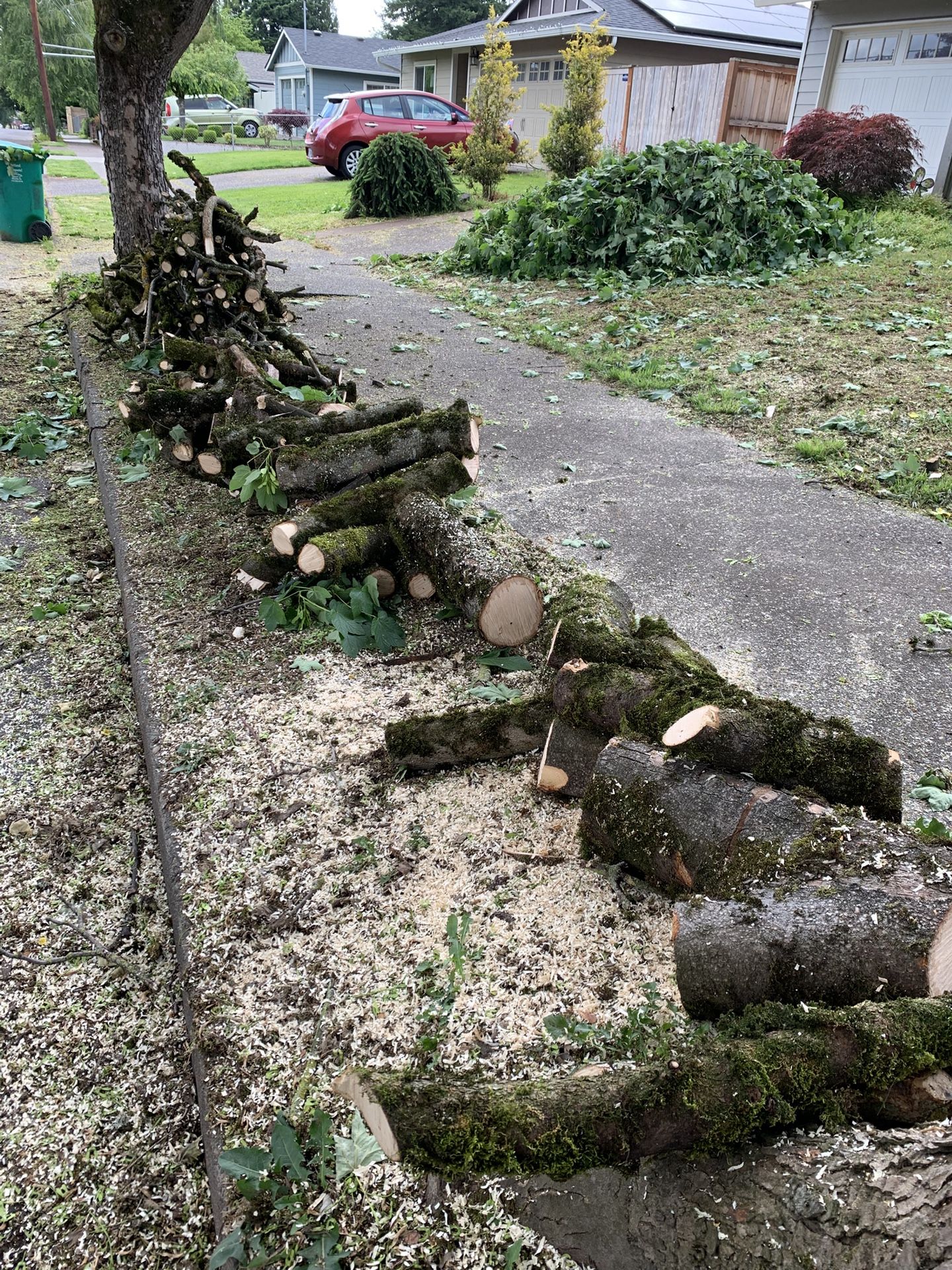 Free Firewood, Logs, Wood, Branches