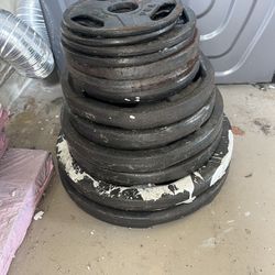 TSA Grip Plate Weights