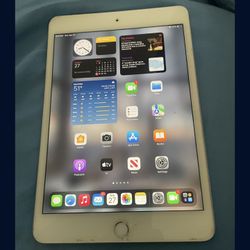 iPad Mini 