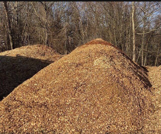Free Wood Chip Mulch