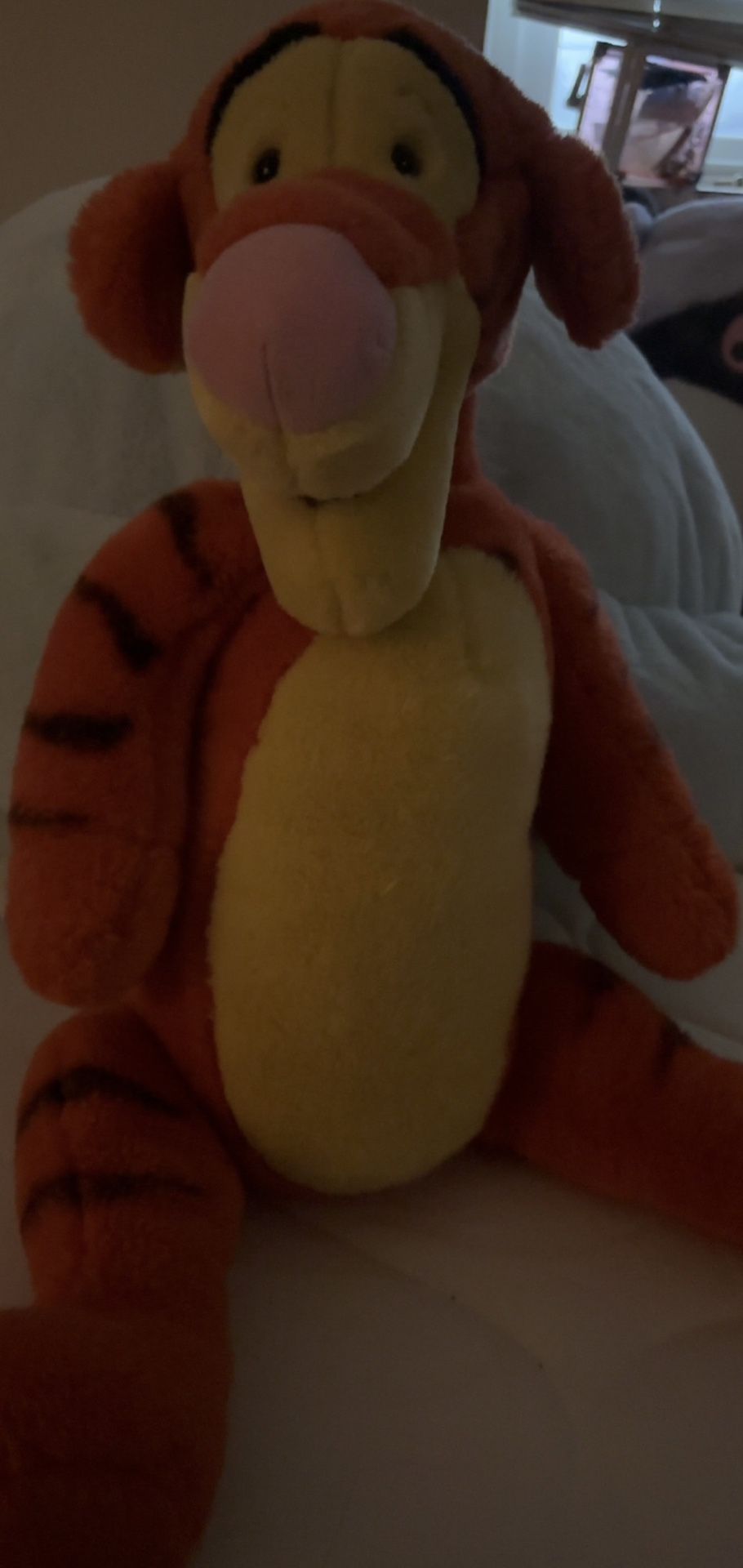 Tigger Old Stuffed Animal