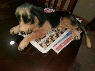 Little plush puppy dog