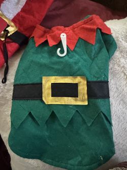 Elf Dog Costume