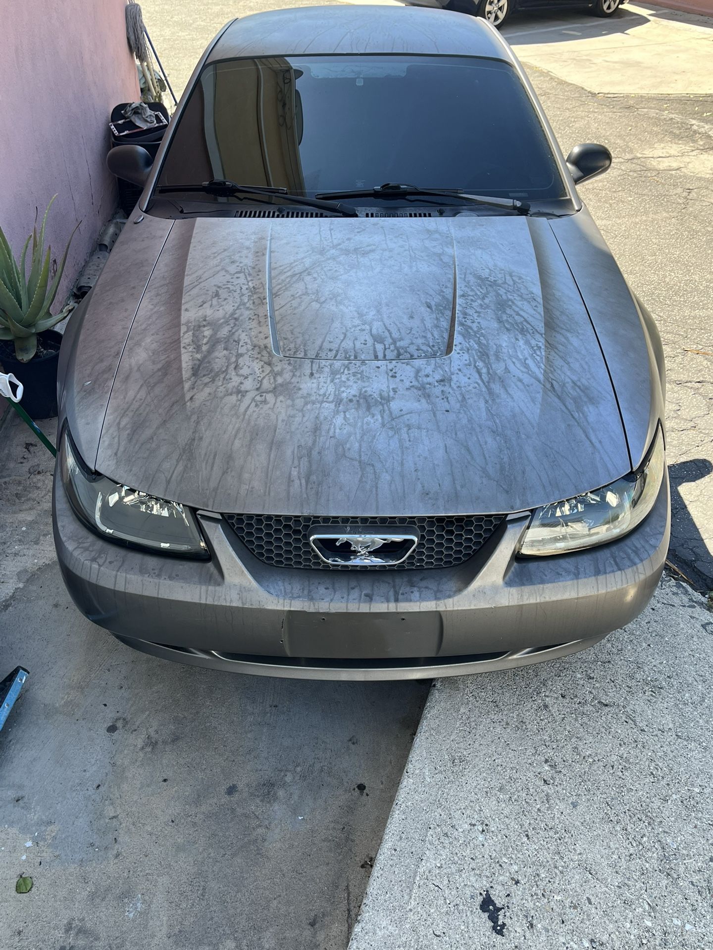 2004 Ford Mustang
