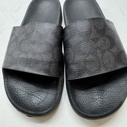 Coach Slides