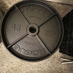 Rogue fitness deep dish weight plate