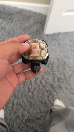 Turtle Art Shell