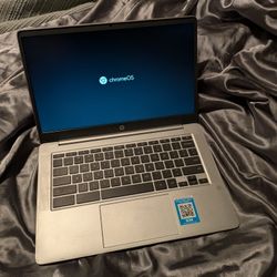 HP Chromebook 