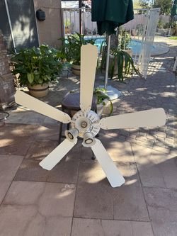 White fan