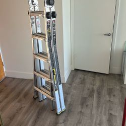 Gorilla Ladder MPX 22