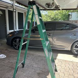 Werner Ladder 6ft 