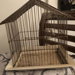 Small Bird Cage
