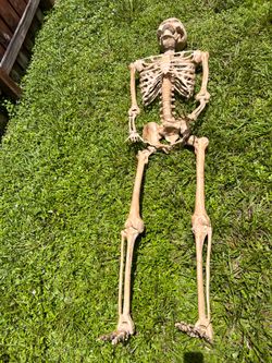 Halloween full size body skeleton