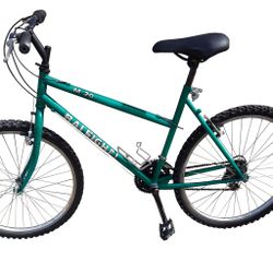 Vintage Raleigh M 20 mountain bike- beautiful and in GREAT condition!