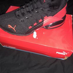 Brand New Puma Shoes