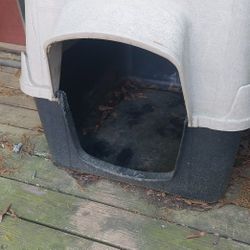 Dog House For Extra Large Dog