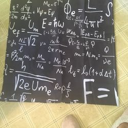 Shower Curtain With White Plastic Hooks