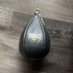 Everlast Genuine Leather Speed Bag Punching Bag
