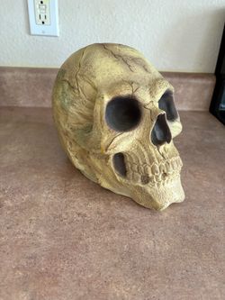 Skull Halloween Prop Aged Bone Gothic Haunted House Decor 9”
