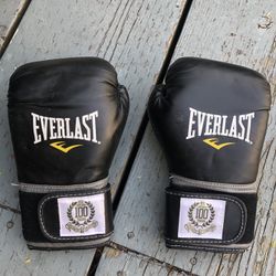 Everlast Boxing Gloves