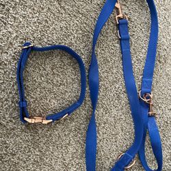 Large Collar And Leash🐾