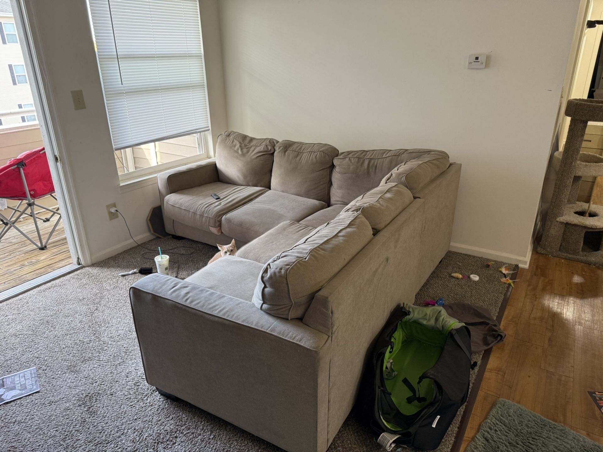 One year old couch