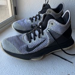 Lebron James basketball shoe