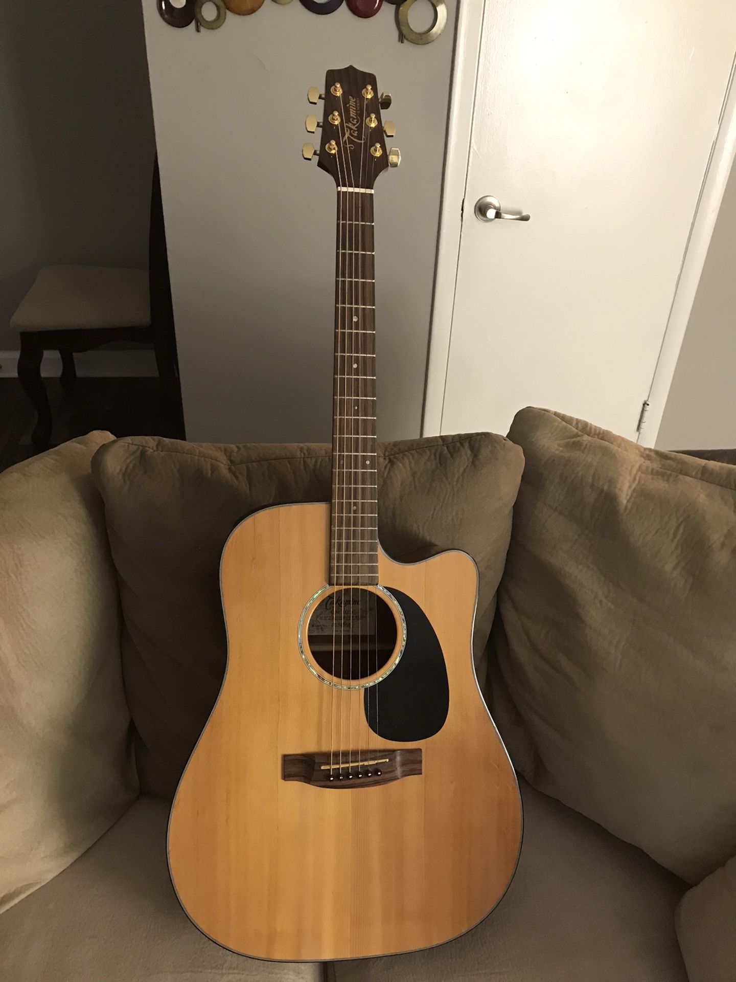 Takamine Guitar