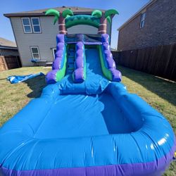 Water Slide Tropical