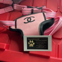 Chanl Dog Harness And Leash